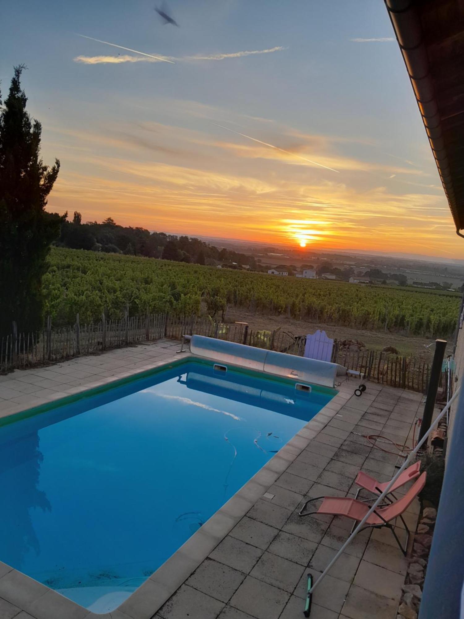 La Cote Des Blancs - Domaine Viticole & Maison D'Hotes Vinzelles Buitenkant foto