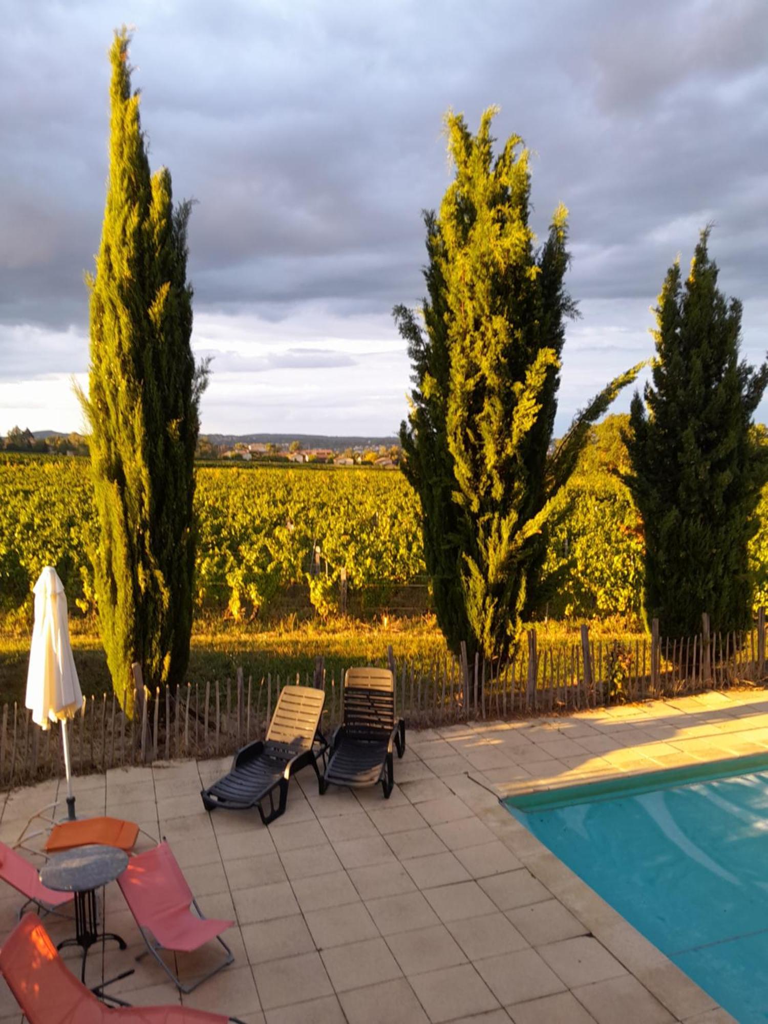 La Cote Des Blancs - Domaine Viticole & Maison D'Hotes Vinzelles Buitenkant foto