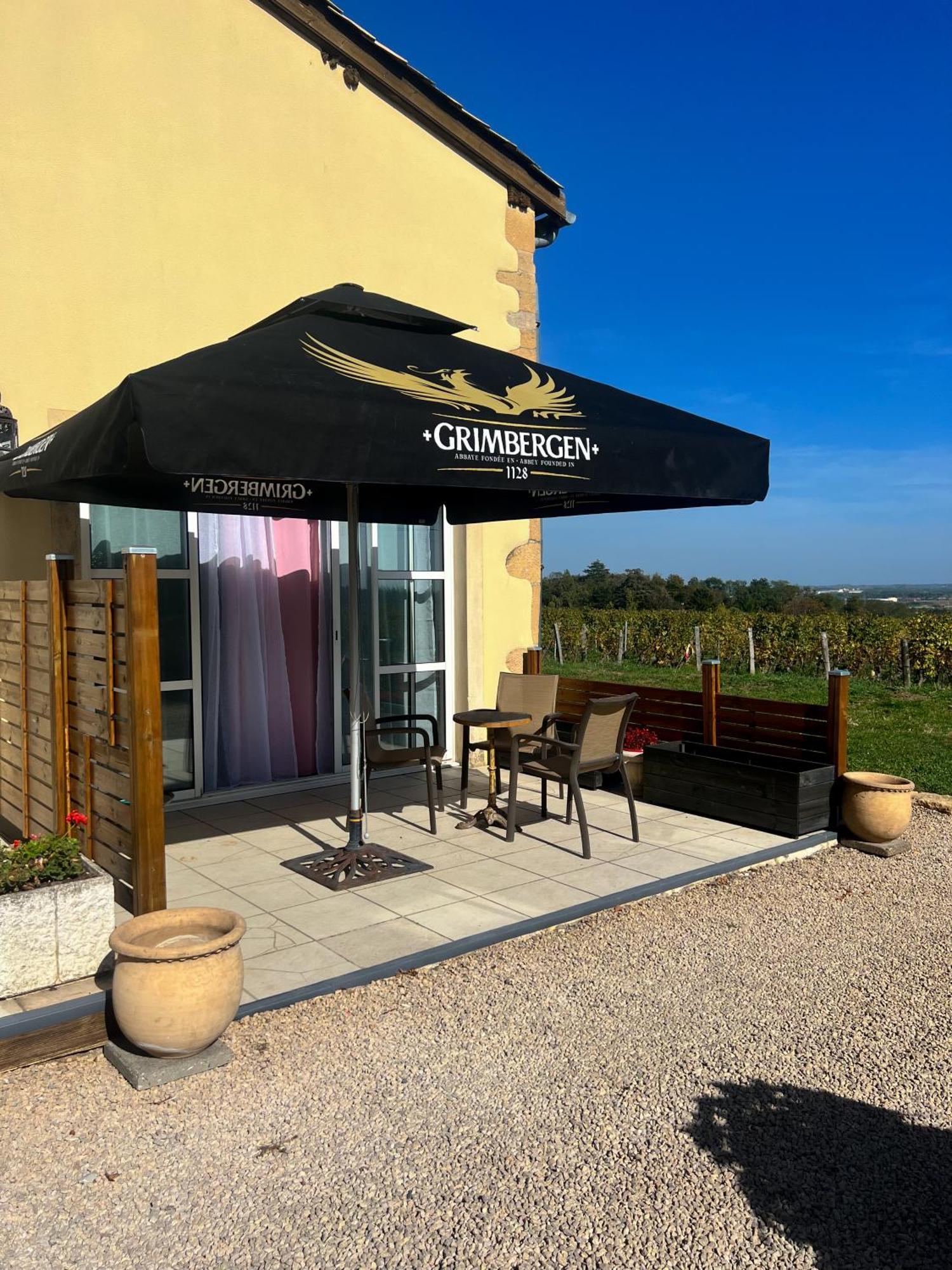 La Cote Des Blancs - Domaine Viticole & Maison D'Hotes Vinzelles Buitenkant foto